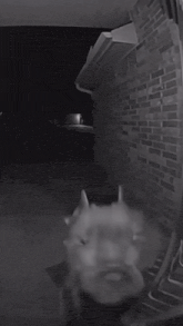 a black and white photo of a horse with the words at stre en written on the wall