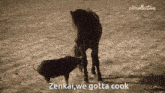 a horse and a pig standing next to each other with the words zenkai we gotta cook above them