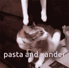 Pasta Xander GIF - Pasta Xander Pasta Xander GIFs