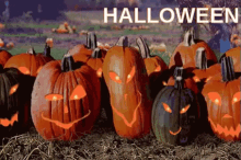 Bi Ngo Halloween GIF - Bíngô Bíđỏ Halloweenđến Rồi GIFs