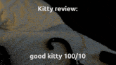 Kitty Kitty Review GIF - Kitty Kitty Review Good Kitty GIFs