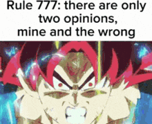 Rule Goku GIF - Rule Goku Opinion GIFs