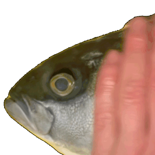 Fishepat Fishpat Sticker