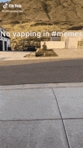 a screenshot of a tiktok video that says no yapping in memes