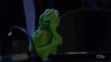 Kermit Wtf GIF - Kermit Wtf Nervous GIFs