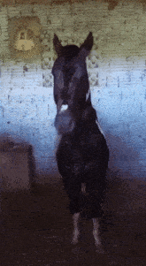 Horse Agreeing GIF - Horse Agreeing Nod GIFs