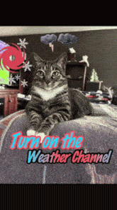a cat is laying on a bed with the words turn on the weather channel