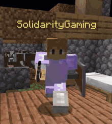 Solidarity Gaming Jimmy Solidarity GIF