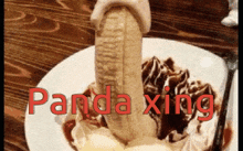 a plate of food with the word panda xing written on it