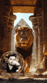 a picture of a lion in front of a pyramid with a man in a frame