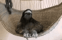 Chillin Lazy GIF - Chillin Lazy Sloth GIFs