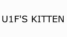 Kitten U1fs GIF