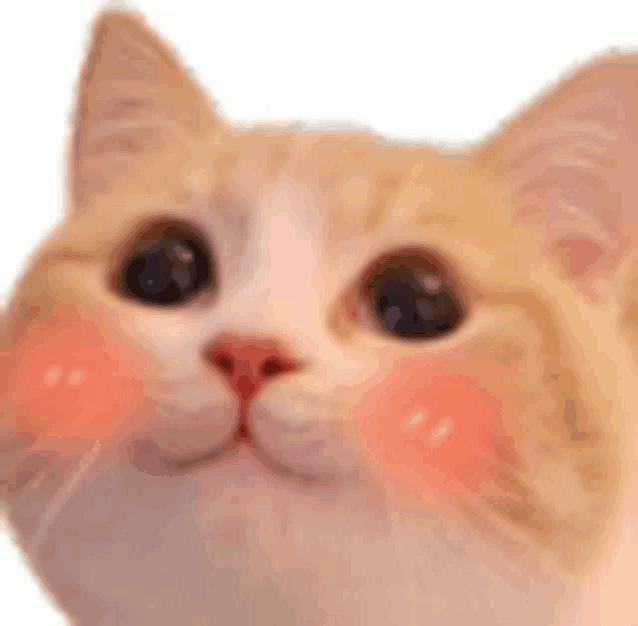 MadCat - Discord Emoji