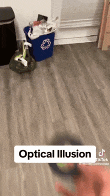 Optical Illusion GIF