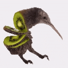 GIF