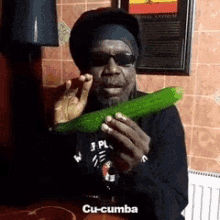 Cucumber Cucumbah GIF - Cucumber Cucumbah Song GIFs