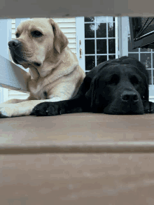 The Best GIF - The Best Friend GIFs