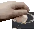 a close up of a person 's hand holding a cd in their hand .