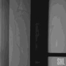 a black and white photo of a window with the letters snl on it