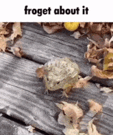 Frog Forget GIF - Frog Forget Forget About It GIFs