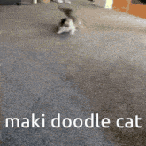 Maki Doodle Cat Maki Cat GIF - Maki Doodle Cat Maki Cat Fuev Cat GIFs
