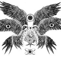 a black and white drawing of a bird with wings and a large eye
