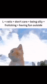L Ratio GIF - L Ratio Don'T Care GIFs