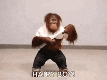 a hairy orangutan is holding a doll in its hands .