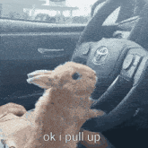 Ok I Pull Up Bunny GIF - Ok I Pull Up Bunny Car GIFs