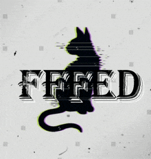 a silhouette of a black cat is behind the word feed