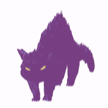 cat kitty purple cute angry