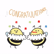 animal bee cute congratulate celebrate