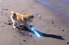 Dog Puppy GIF - Dog Puppy Lightsaber GIFs