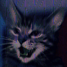 an optical illusion of a cat 's face with a geometric pattern behind it