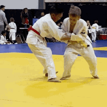 Judo Throw GIF - Judo Throw Judothrow GIFs