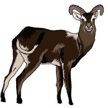 antelope lechwe nile lechwe