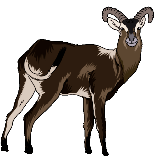Antelope Lechwe Sticker - Antelope Lechwe Nile Lechwe Stickers