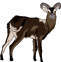 Antelope Lechwe Sticker - Antelope Lechwe Nile Lechwe Stickers