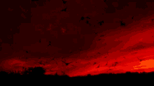 Red Sky GIF - Red Sky Bird GIFs