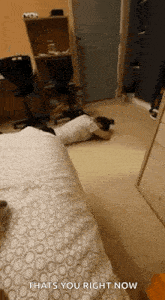 Hungover Drinking GIF - Hungover Drinking Drunk GIFs