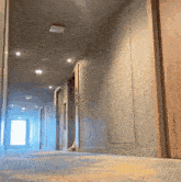 a hallway with a light on the ceiling and a few doors