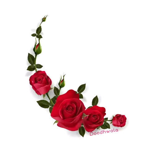 Red Rose Rose Sticker - Red Rose Rose Flower Stickers