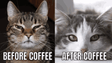 After Coffee And Before GIF - After Coffee And Before GIFs