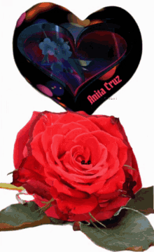 a picture of a red rose and a heart with the name anita cruz on it