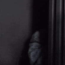 a man in a fur coat is standing in the dark