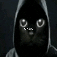 a black cat wearing a hooded jacket with the word okak written on its face
