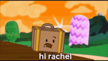 Hi Rachel Suitcase Ii GIF - Hi Rachel Suitcase Ii Suitcase GIFs