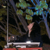 a woman looks up at a projector while standing in front of a tree