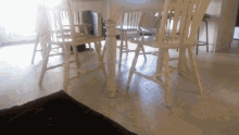 Musical Chairs: Cat Edition GIF - Chairs Wtf Circle GIFs