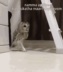 Owl Vadivelu Owl Walk GIF - Owl Vadivelu Owl Walk Sneak Owl GIFs